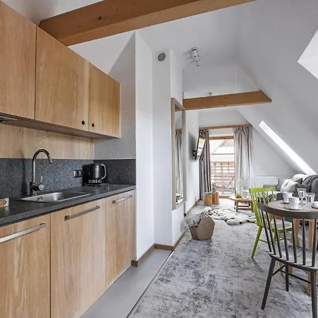 Monte House Apartments, Odkryj-zakopane